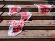 haaretz thumbnail