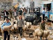 Settlement body sues Israeli fashion brand Comme il Faut for linking it to West...