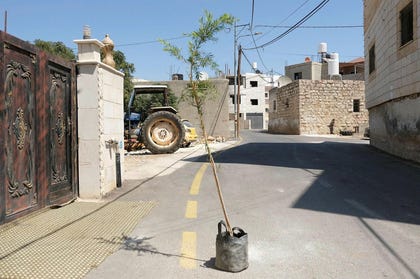 A tree marking the spot where a resident was killed in Al-Mughayyir this week. Residents dare not approach the new outposts surrounding the village.