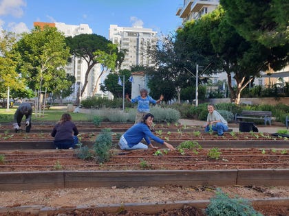 פעילות קהילתית בגינה עירונית. פעילות קהילתית בגינה עירונית