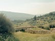 מבט אדריכלי מרהיב על הנוף המקומי