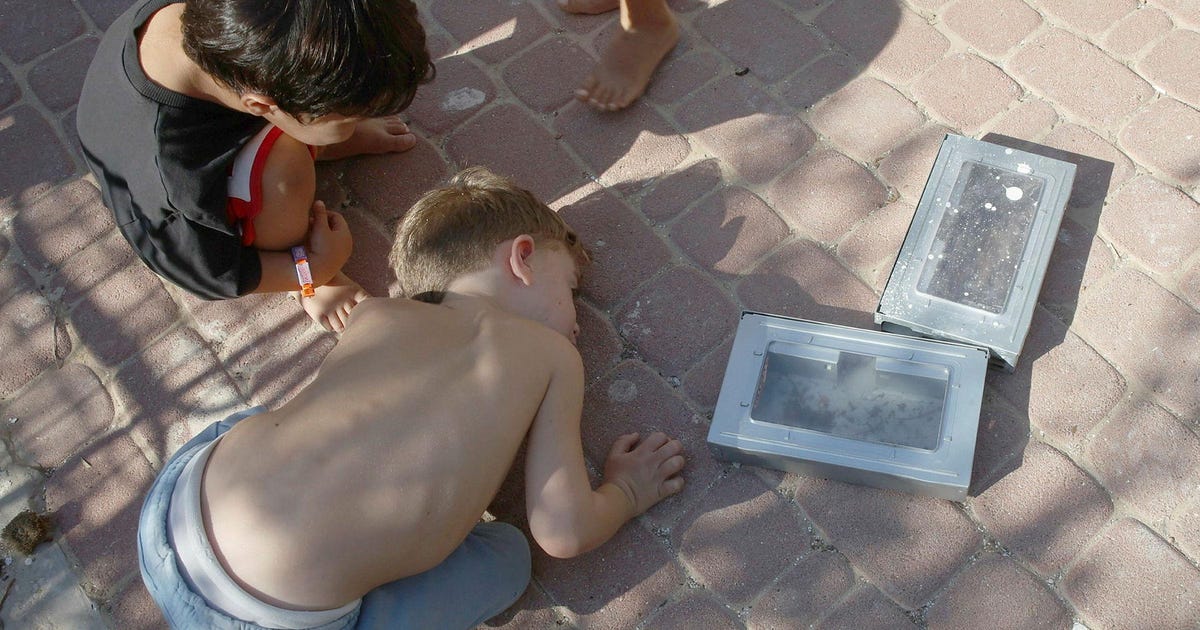 Rodent outbreak hits Israeli Gaza border communities, 100 caught in some homes