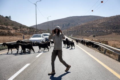 A far-right Hilltop Youth activist blocking traffic outside Turmus Ayya with a flock on September 9. Credit: Itay Cohen A far-right Hilltop Youth activist blocking traffic outside Turmus Ayya with a flock on September 9.