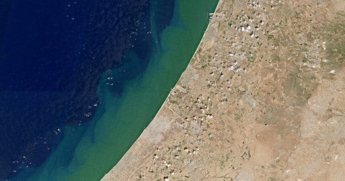 Israel's new normal: A coastline wracked by an algae apocalypse