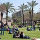 אוניברסיטת תל אביב |  צילום: אוניברסיטת תל אביב