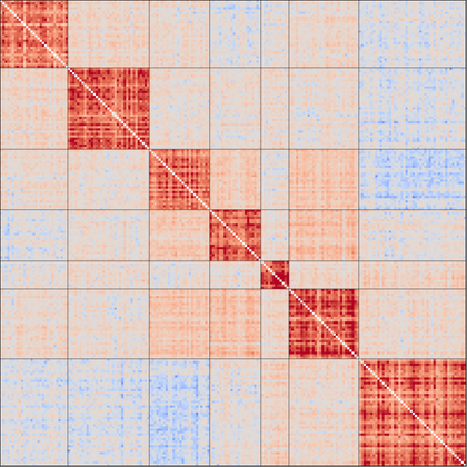 A brain connectivity matrix. Each row and column represents a brain region; each cell shows the correlation between the activity of the two intersecting regions. Stronger positive correlations appear in deeper red; negative correlations appear in blue.