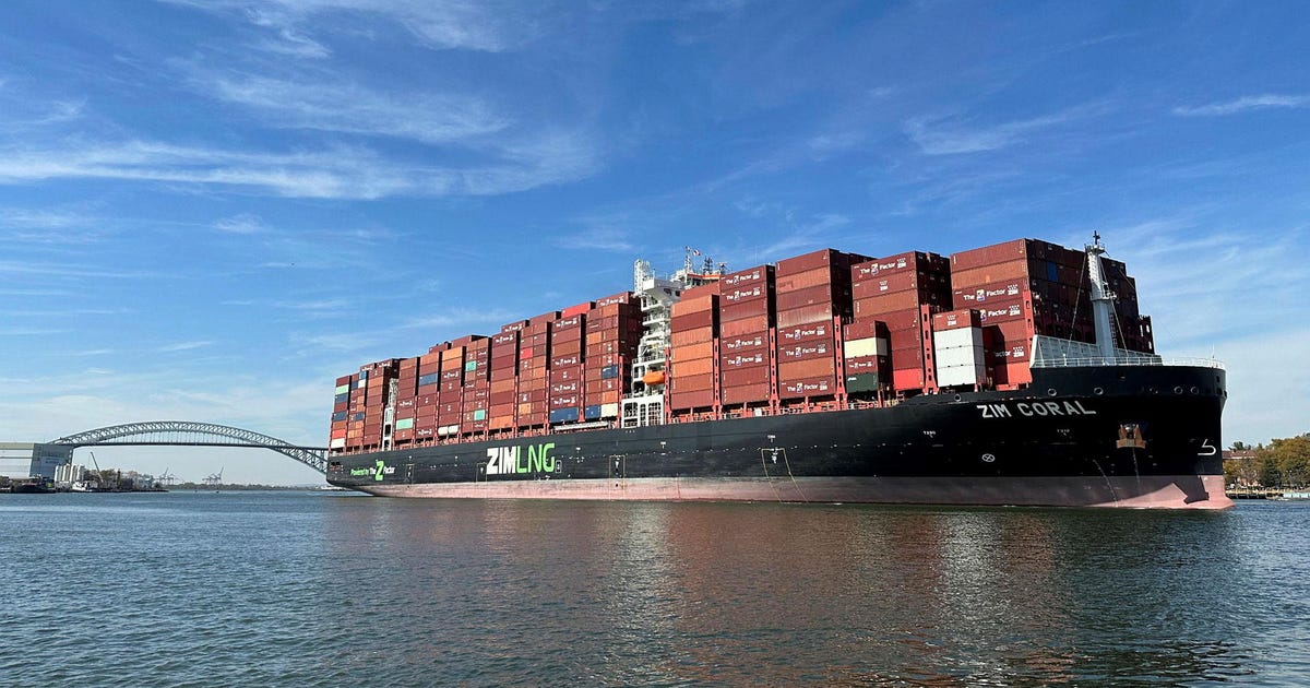 Government Companies Authority halts sale of ZIM shipping company