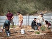Violating Zionism’s holy of holies: The Netanyahu government attacks the Law of...