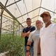 משמאל : ד"ר צילהב שם-עד, שי אשר וגיא דהרי בחממת עגבניות משק ארנולדס, עין הבשור | צילום: UVIVEA LTD