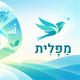עיצוב: מערכת לוגיפס
