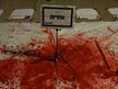 haaretz thumbnail