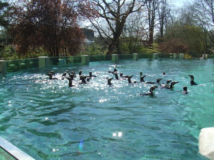 ZooParc de Beauval. צילום: ZooParc de Beauval ZooParc de Beauval