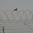 Ketziot Prison in southern Israel.