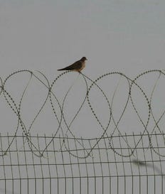 Ketziot Prison in southern Israel.