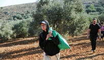 Foreign activists help Palestinians during the olive harvest season in Palestinian-owned olive groves in the village of Beita near Nablus, in the Israeli-occupied West Bank, Saturday.