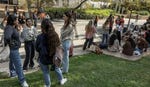סטודנטיות באוניברסיטת תל אביב (למצולמים אין קשר לכתבה). נרשם גידול בסטודנטים להוראה, משפטים ומדעי הרוח