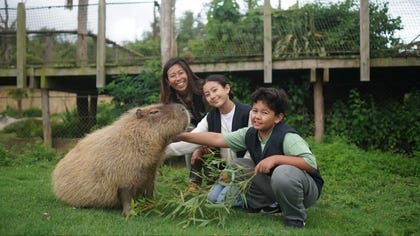 Omega Tropical Park