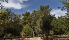 פארק העיוורים. מעקה מתכת מלווה את השביל שאורכו 500 מטרים