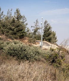 פותחת