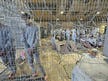 Ben-Gvir seeks $250M from other ministries to fund October 7 military tribunal