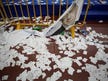Israel votes, then what? A guide to the post-election drama