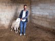 ‘At night settlers steal our sheep; by day, our olives. They see us but don’t...